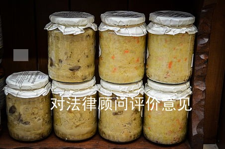对法律顾问评价意见 对法律顾问评价意见