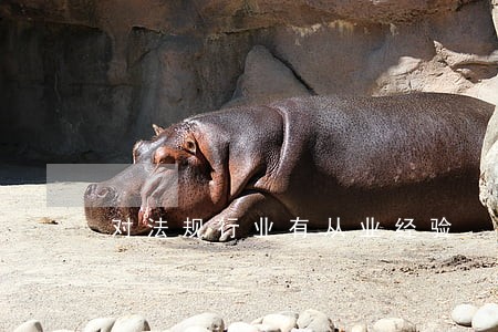 对法规行业有从业经验 对法规行业有从业经验