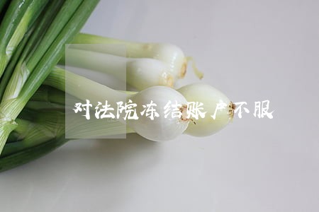 对法院冻结账户不服 对法院冻结账户不服