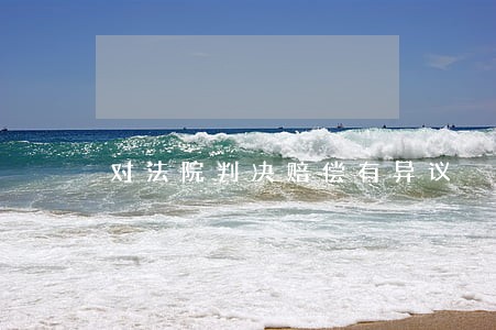对法院判决赔偿有异议 对法院判决赔偿有异议