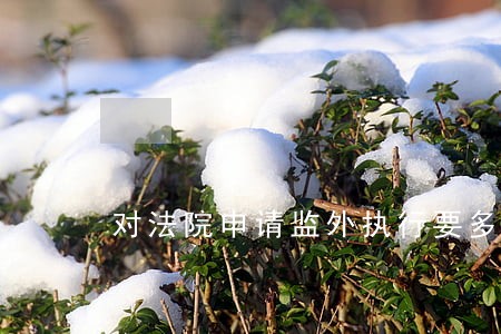对法院申请监外执行要多久才会答复 对法院申请监外执行要多久才会答复