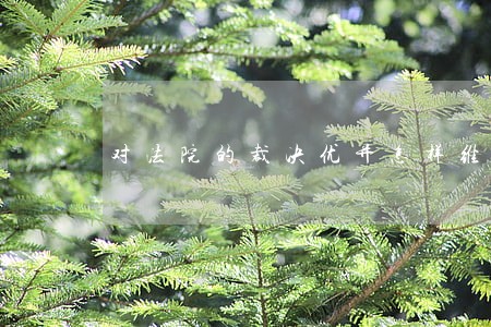 对法院的裁决优异怎样维权