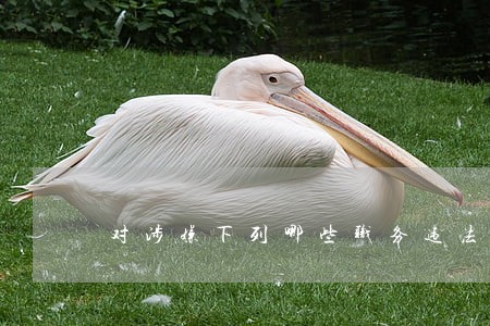 对涉嫌下列哪些职务违法 对涉嫌下列哪些职务违法