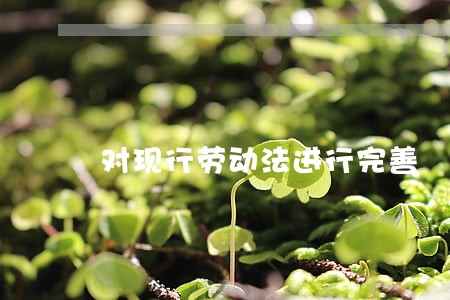 对现行劳动法进行完善 对现行劳动法进行完善