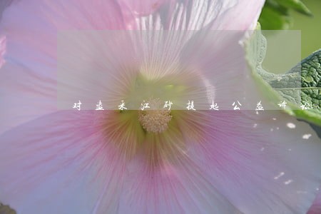 对盗采江砂提起公益诉讼 对盗采江砂提起公益诉讼