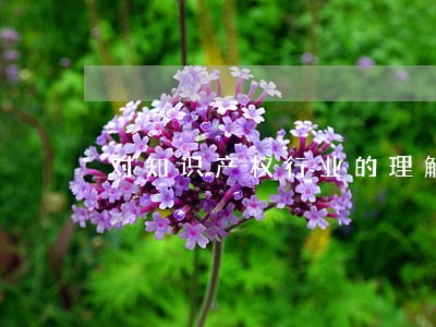 对知识产权行业的理解 对知识产权行业的理解