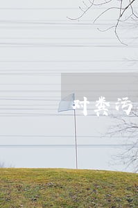 对粪污直排法律法规