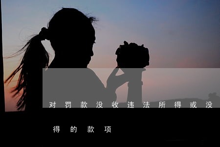 对罚款没收违法所得或没收非法财物拍卖所得的款项 对罚款没收违法所得或没收非法财物拍卖所得的款项