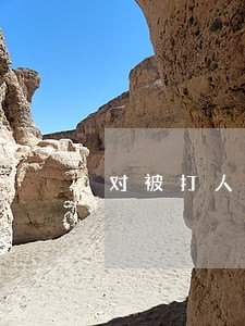 对被打人司法监定不满意 对被打人司法监定不满意