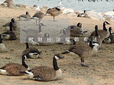对财经法规的看法