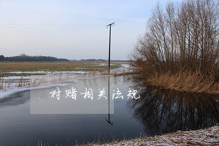 对赌相关法规 对赌相关法规