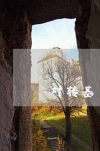 对转基因食品有哪些法规 对转基因食品有哪些法规