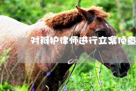 对辩护律师进行立案侦查的机关 对辩护律师进行立案侦查的机关