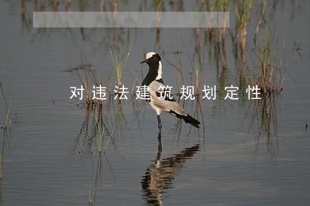 对违法建筑规划定性 对违法建筑规划定性