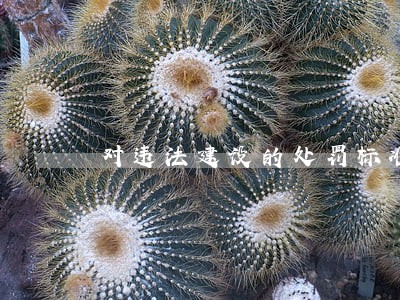对违法建设的处罚标准