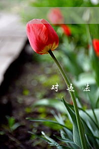 对违法建设进行了拆除