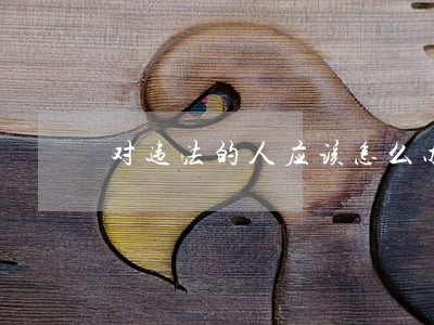 对违法的人应该怎么办