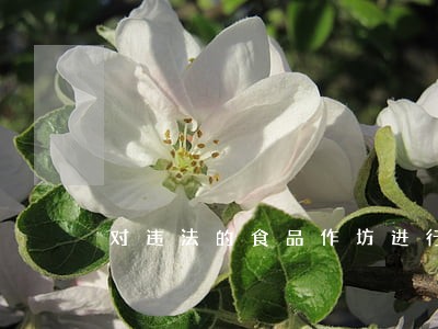 对违法的食品作坊进行 对违法的食品作坊进行