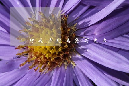 对违法行为惩罚更大 对违法行为惩罚更大