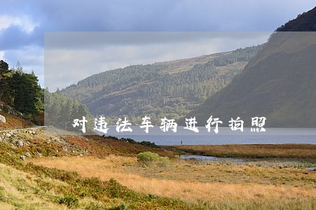 对违法车辆进行拍照 对违法车辆进行拍照