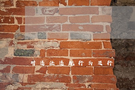 对违法违规行为进行 对违法违规行为进行