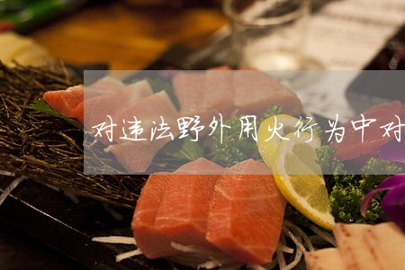 对违法野外用火行为中对个人 对违法野外用火行为中对个人