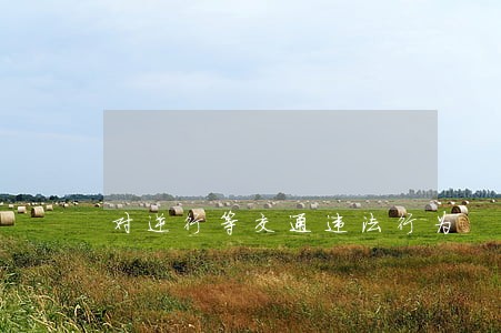 对逆行等交通违法行为 对逆行等交通违法行为