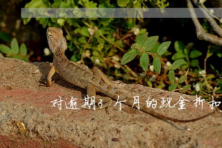 对逾期3个月的现金折扣 对逾期3个月的现金折扣