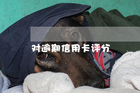 对逾期信用卡评分 对逾期信用卡评分