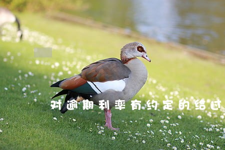 对逾期利率有约定的给过36 对逾期利率有约定的给过36