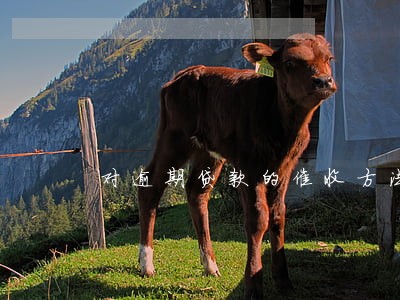 对逾期贷款的催收方法包括 对逾期贷款的催收方法包括