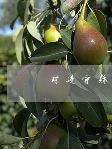 对遵守财经法规的认识 对遵守财经法规的认识