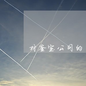对鉴宝公司的司法建议书