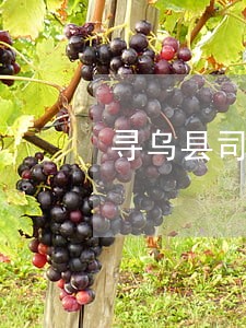 寻乌县司法局竟然这样干 寻乌县司法局竟然这样干