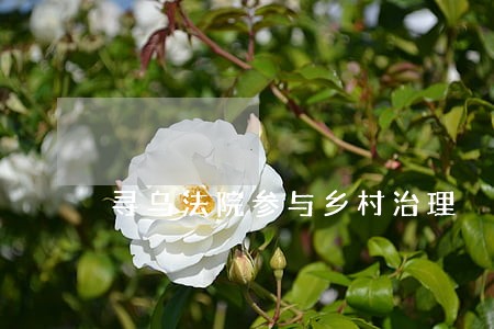 寻乌法院参与乡村治理