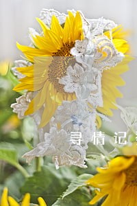 寻情记婆婆在娘家和女儿离婚 寻情记婆婆在娘家和女儿离婚