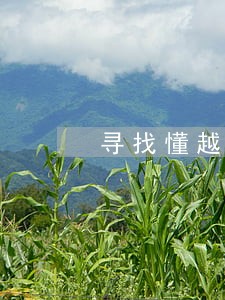 寻找懂越南那边法律的律师 寻找懂越南那边法律的律师
