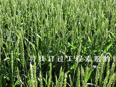 寻找打过工程索赔的律师 寻找打过工程索赔的律师