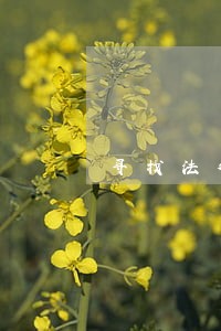 寻找法律顾问单位推荐信 寻找法律顾问单位推荐信