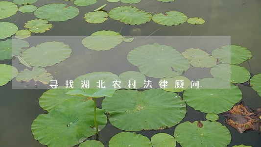 寻找湖北农村法律顾问 寻找湖北农村法律顾问
