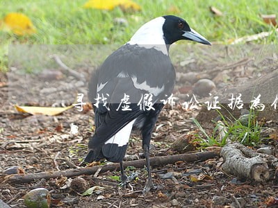 寻找虚假诉讼证据为何这么难 寻找虚假诉讼证据为何这么难