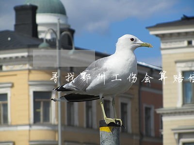 寻找鄂州工伤会算赔偿律师 寻找鄂州工伤会算赔偿律师