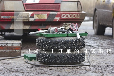 寻求关于订单的司法解释 寻求关于订单的司法解释