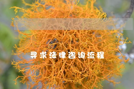 寻求法律咨询流程 寻求法律咨询流程