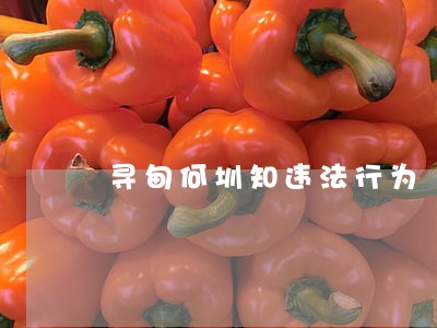 寻甸何圳知违法行为