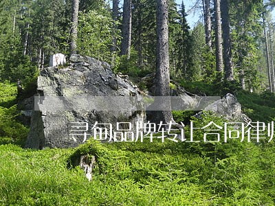 寻甸品牌转让合同律师 寻甸品牌转让合同律师