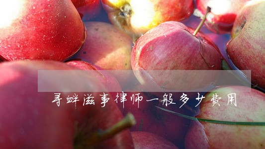 寻衅滋事律师一般多少费用 寻衅滋事律师一般多少费用