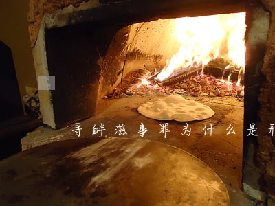 寻衅滋事罪为什么是刑法的耻辱 寻衅滋事罪为什么是刑法的耻辱