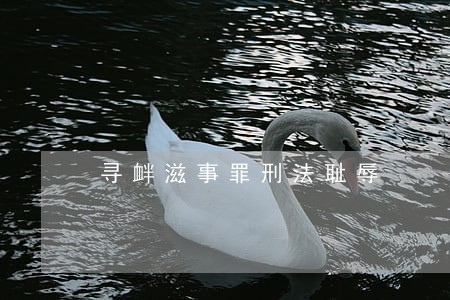 寻衅滋事罪刑法耻辱 寻衅滋事罪刑法耻辱