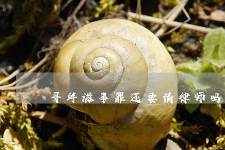寻衅滋事罪还要请律师吗 寻衅滋事罪还要请律师吗